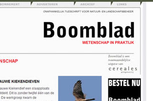 Boomblad