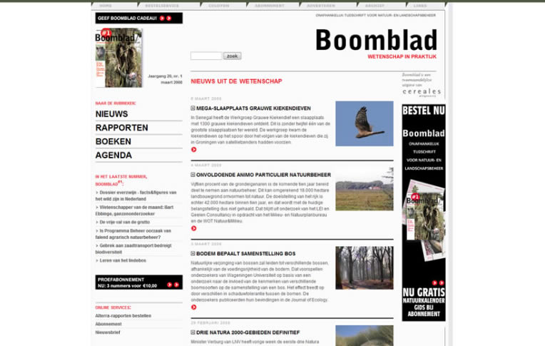 Boomblad